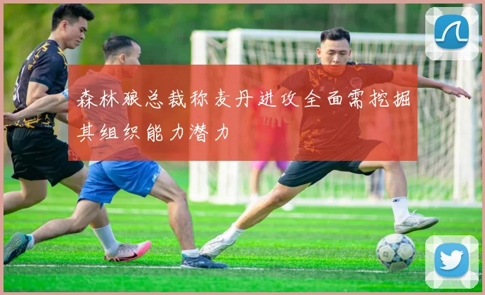 森林狼总裁称麦丹进攻全面需挖掘其组织能力潜力